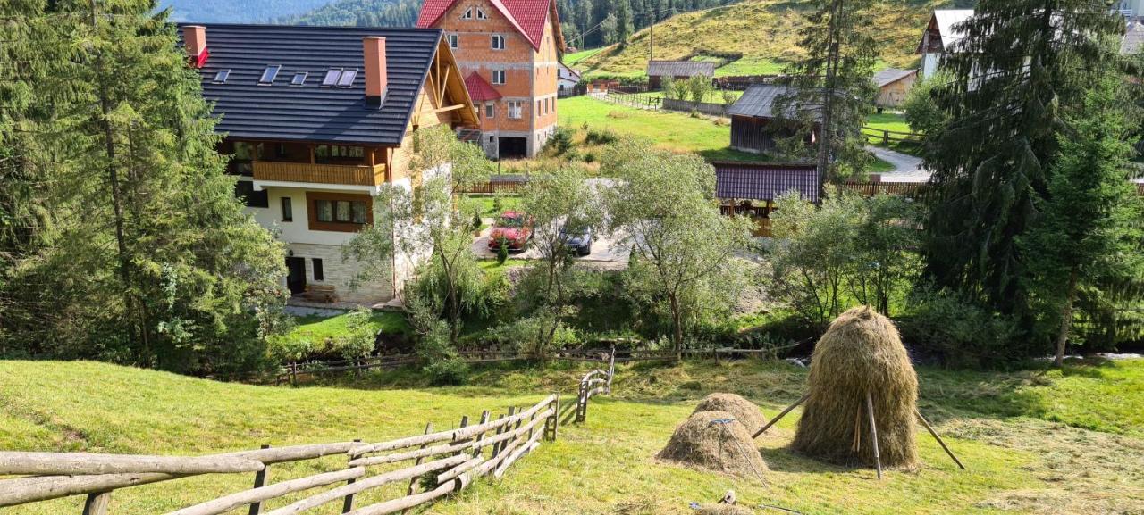 Arnica Montana Hotel Arieseni Bagian luar foto
