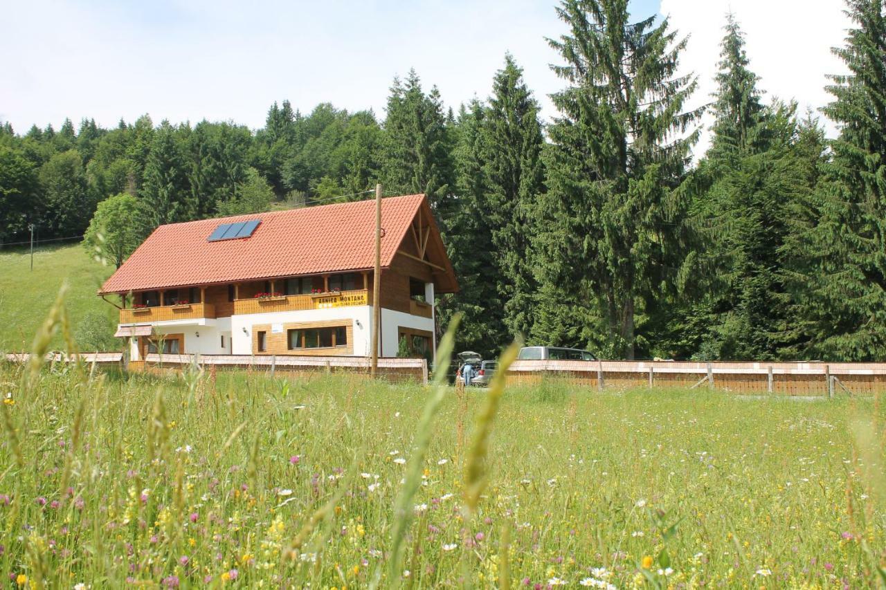 Arnica Montana Hotel Arieseni Bagian luar foto