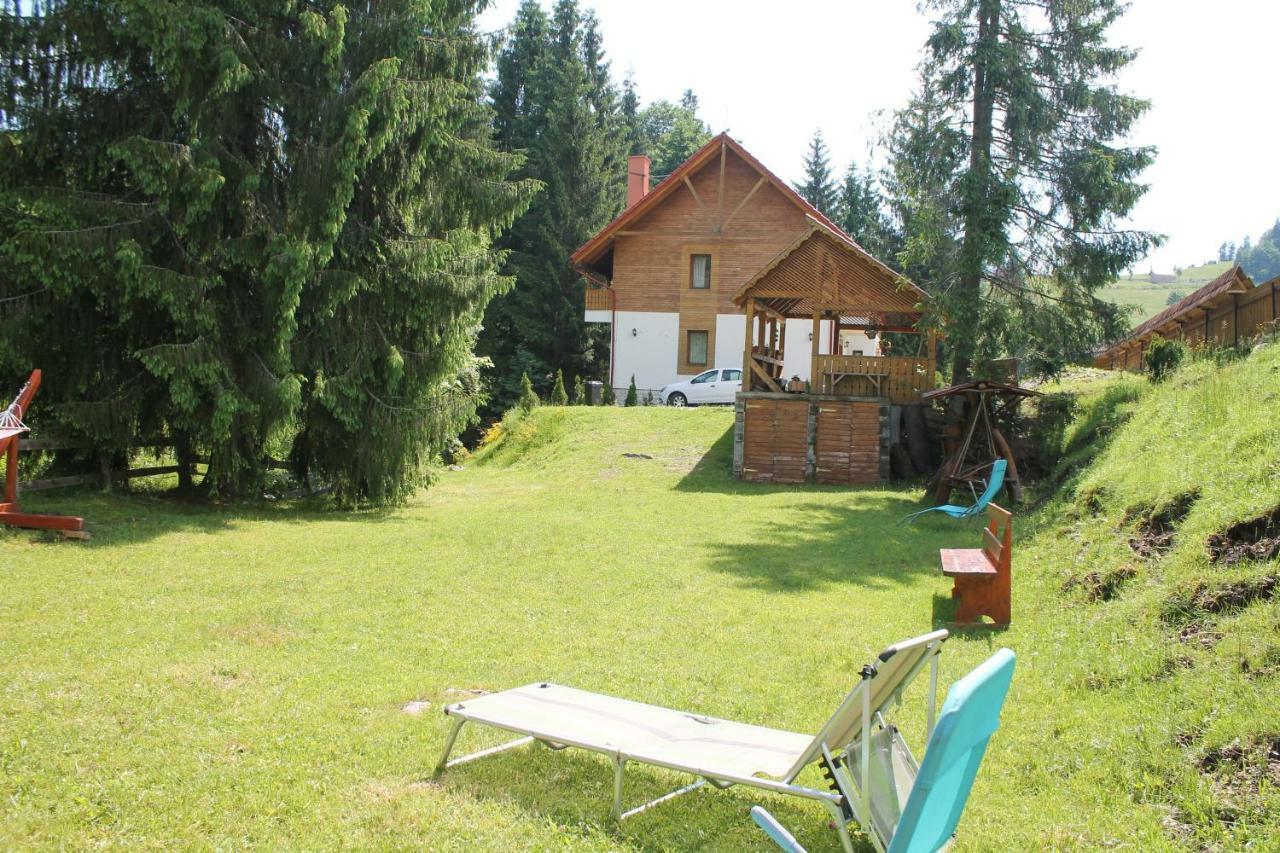 Arnica Montana Hotel Arieseni Bagian luar foto