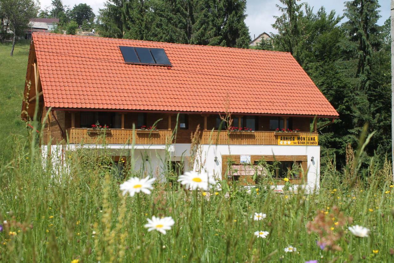 Arnica Montana Hotel Arieseni Bagian luar foto