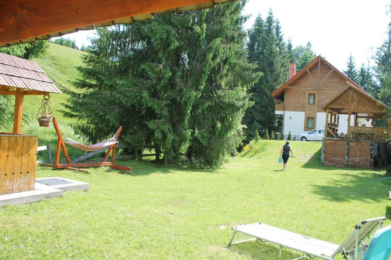 Arnica Montana Hotel Arieseni Bagian luar foto