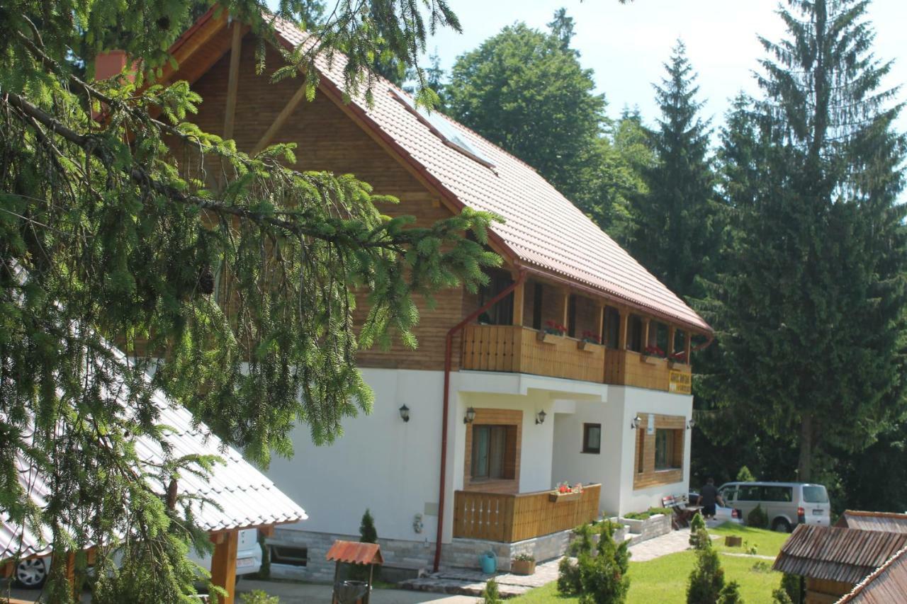 Arnica Montana Hotel Arieseni Bagian luar foto