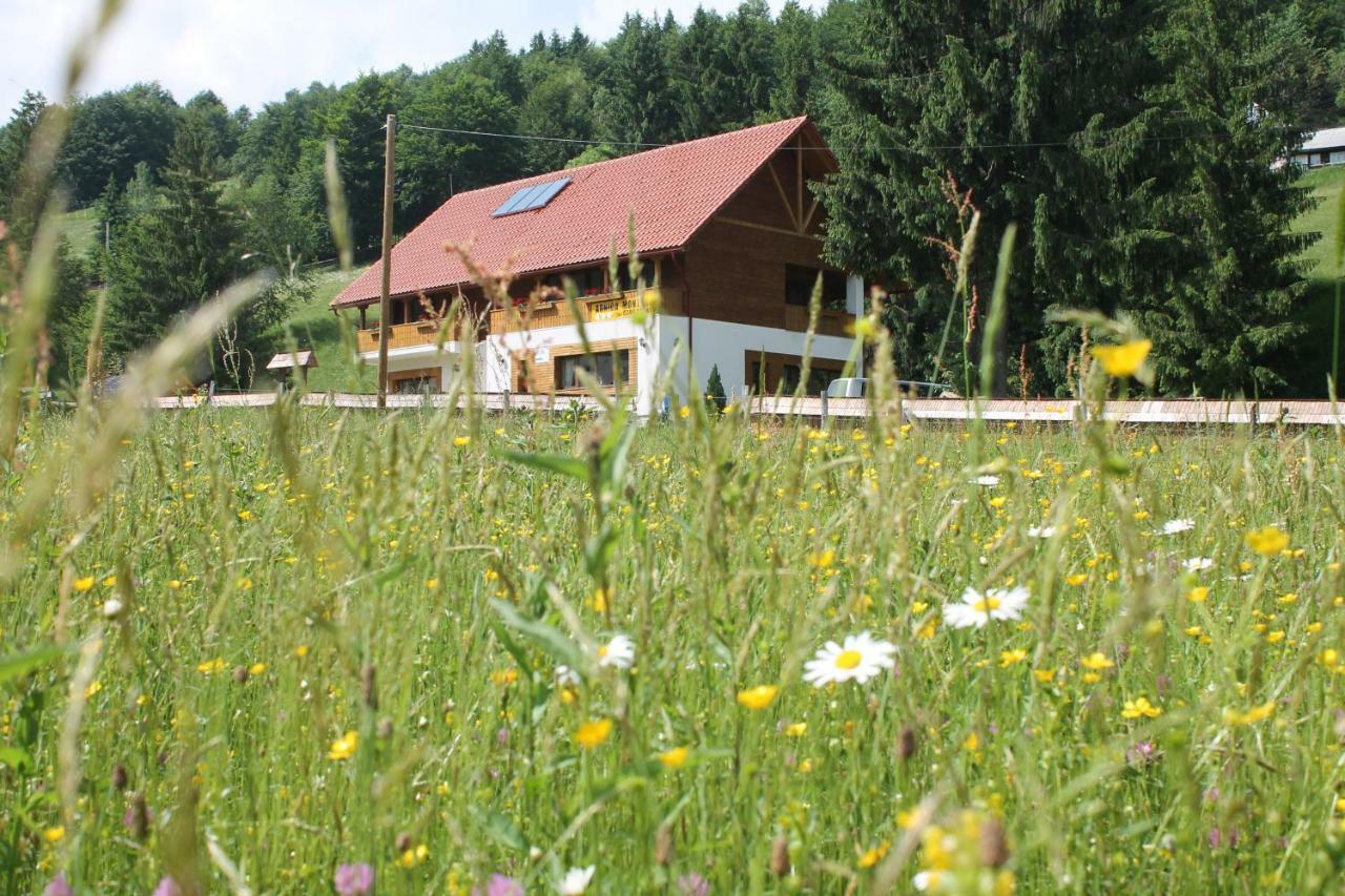 Arnica Montana Hotel Arieseni Bagian luar foto