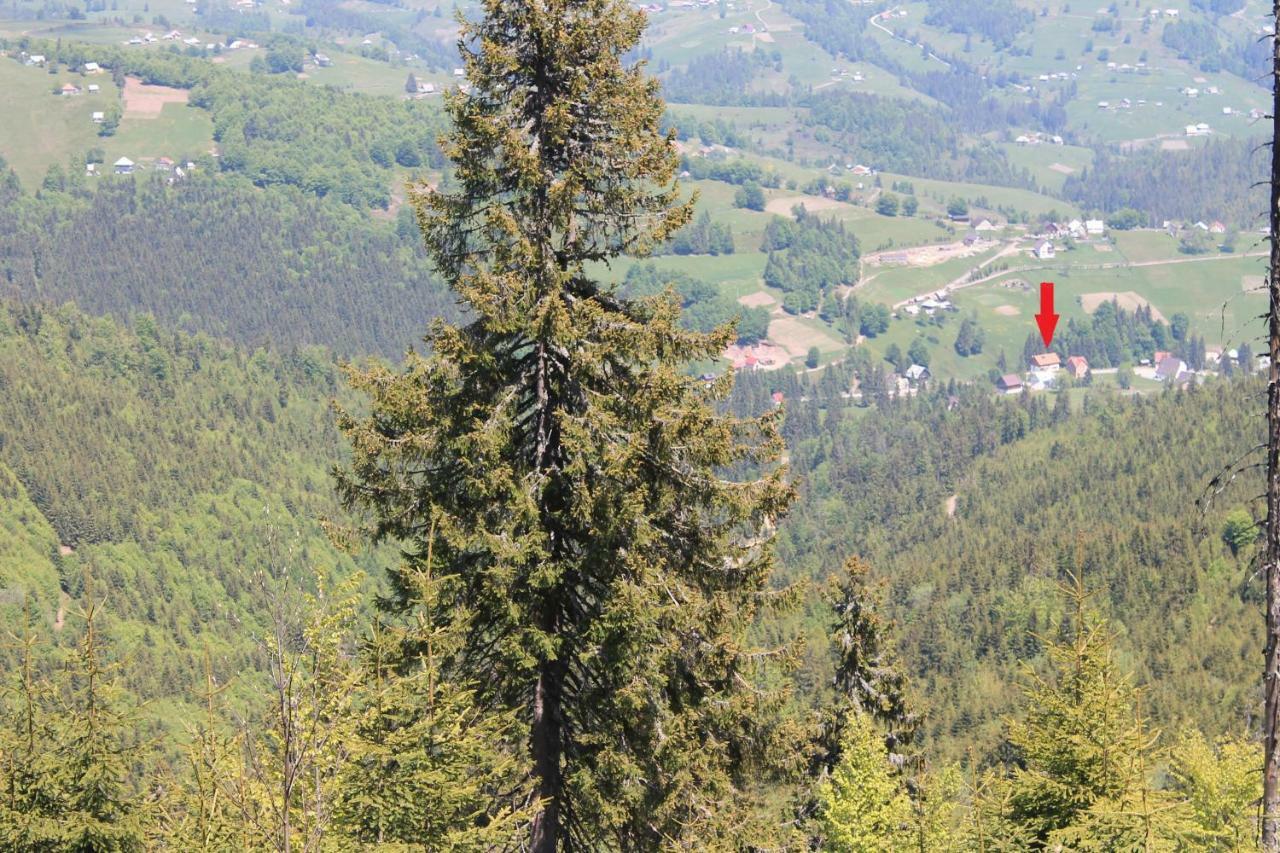 Arnica Montana Hotel Arieseni Bagian luar foto