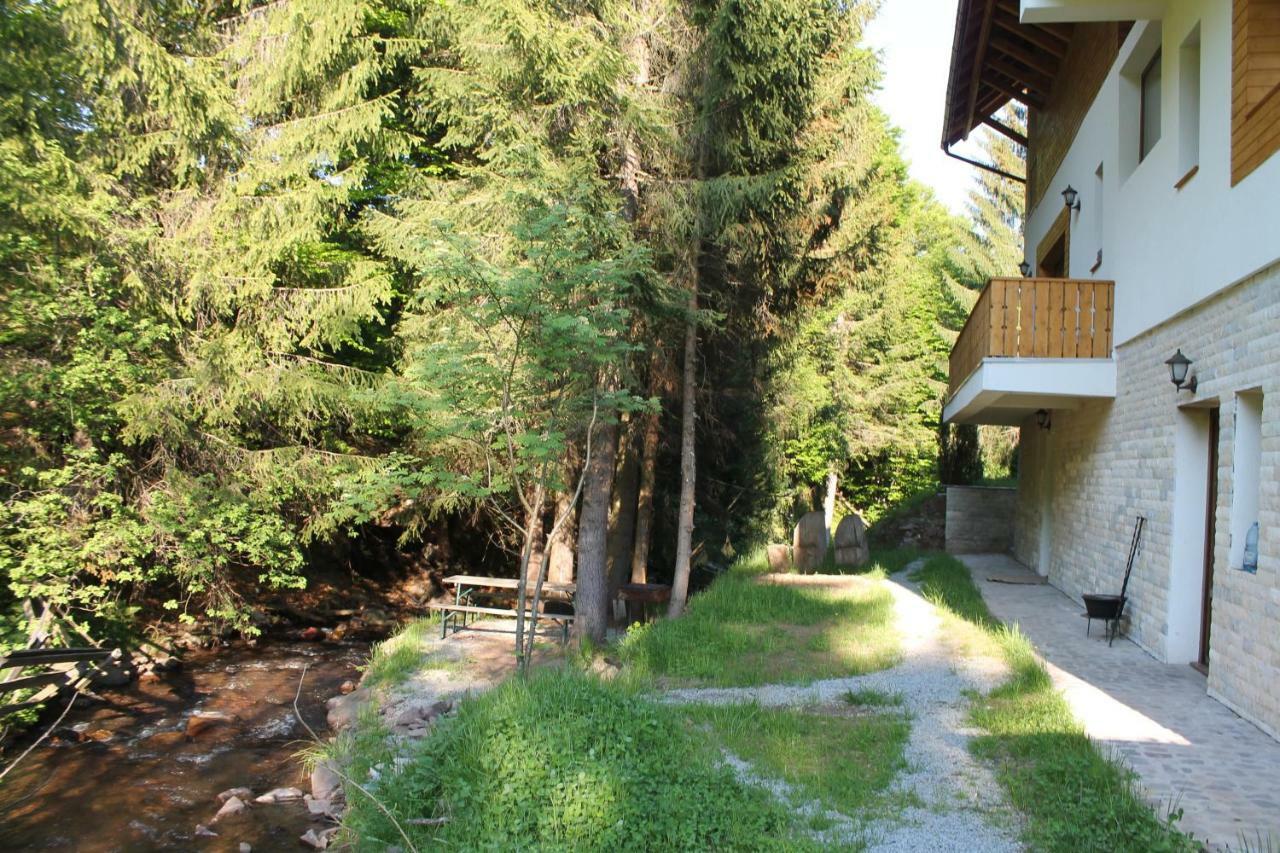 Arnica Montana Hotel Arieseni Bagian luar foto