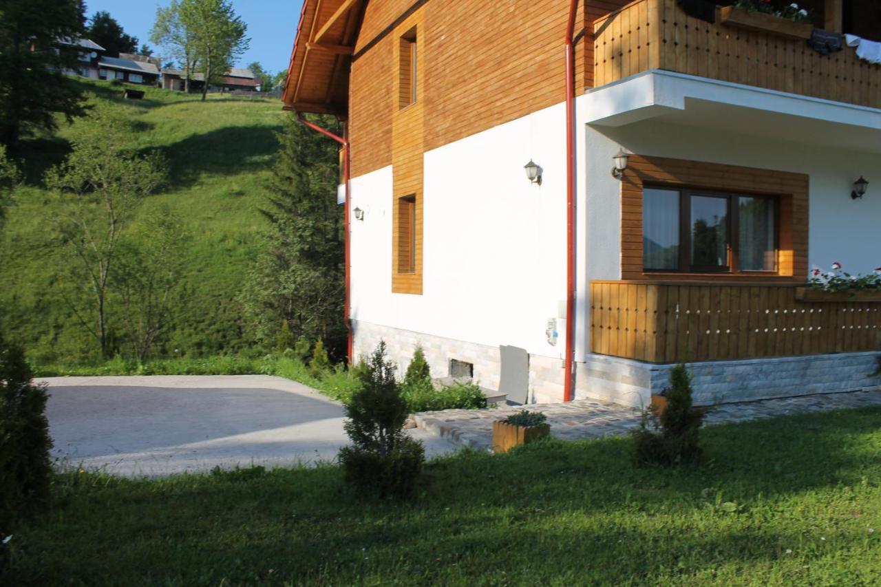 Arnica Montana Hotel Arieseni Bagian luar foto