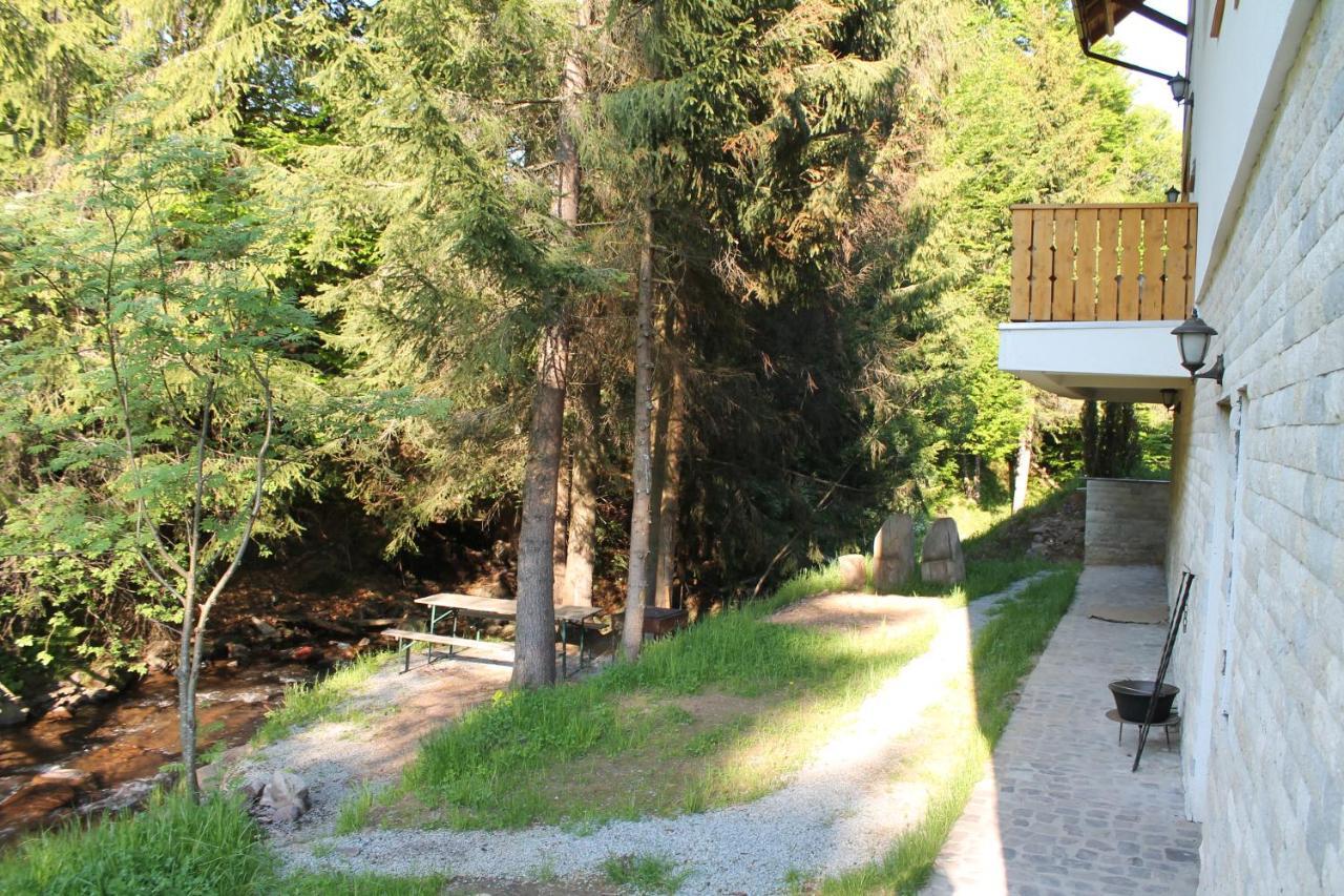 Arnica Montana Hotel Arieseni Bagian luar foto