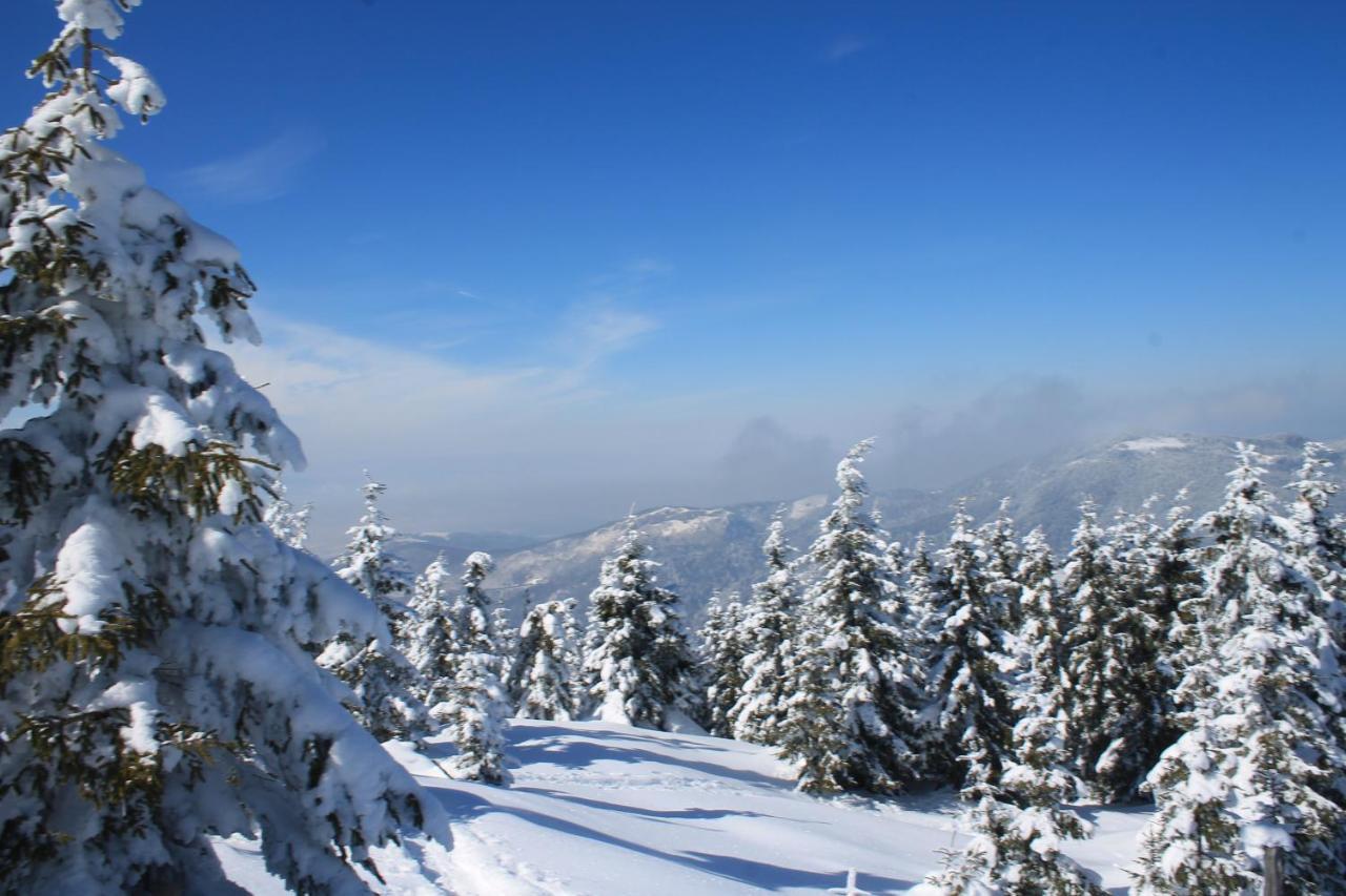 Arnica Montana Hotel Arieseni Bagian luar foto