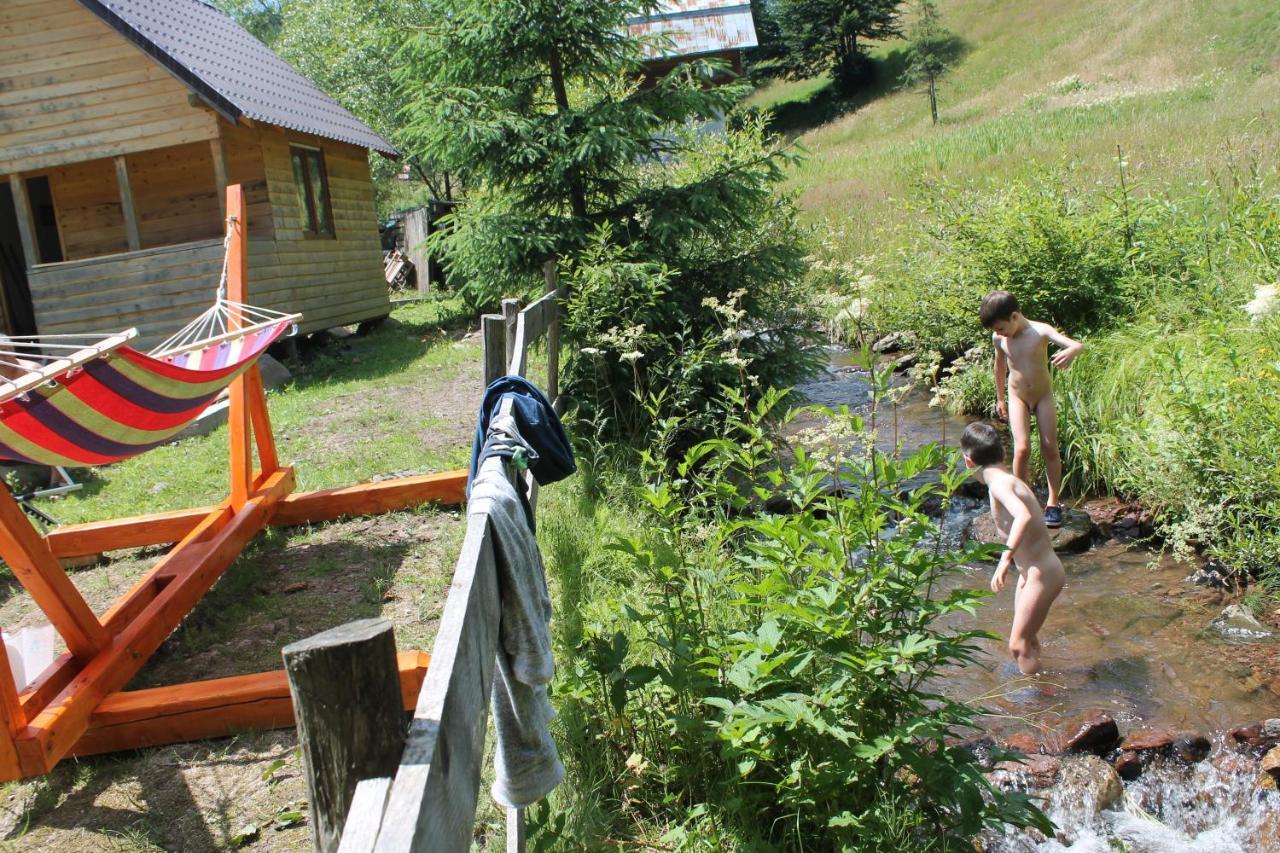 Arnica Montana Hotel Arieseni Bagian luar foto