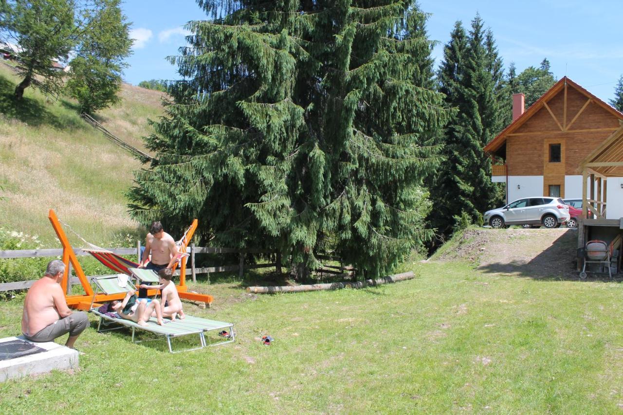 Arnica Montana Hotel Arieseni Bagian luar foto
