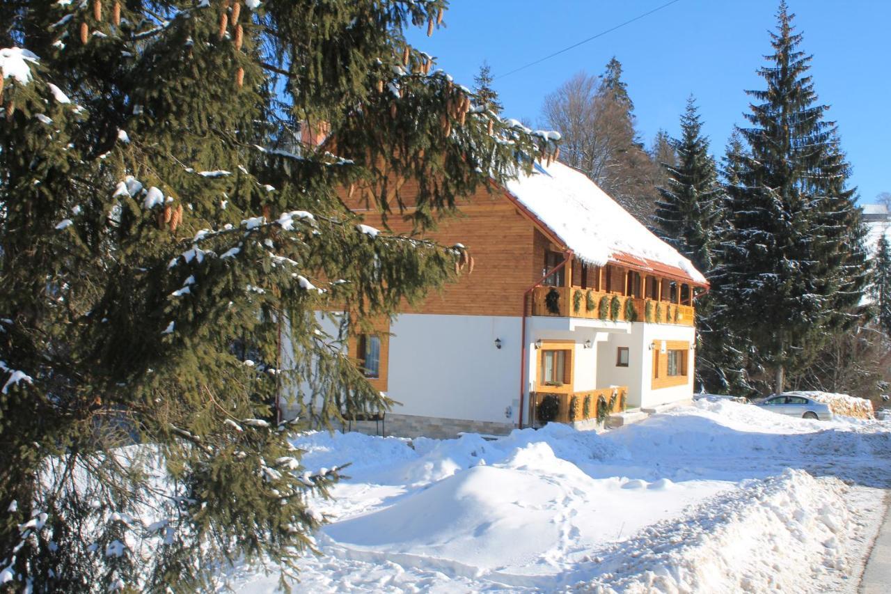 Arnica Montana Hotel Arieseni Bagian luar foto