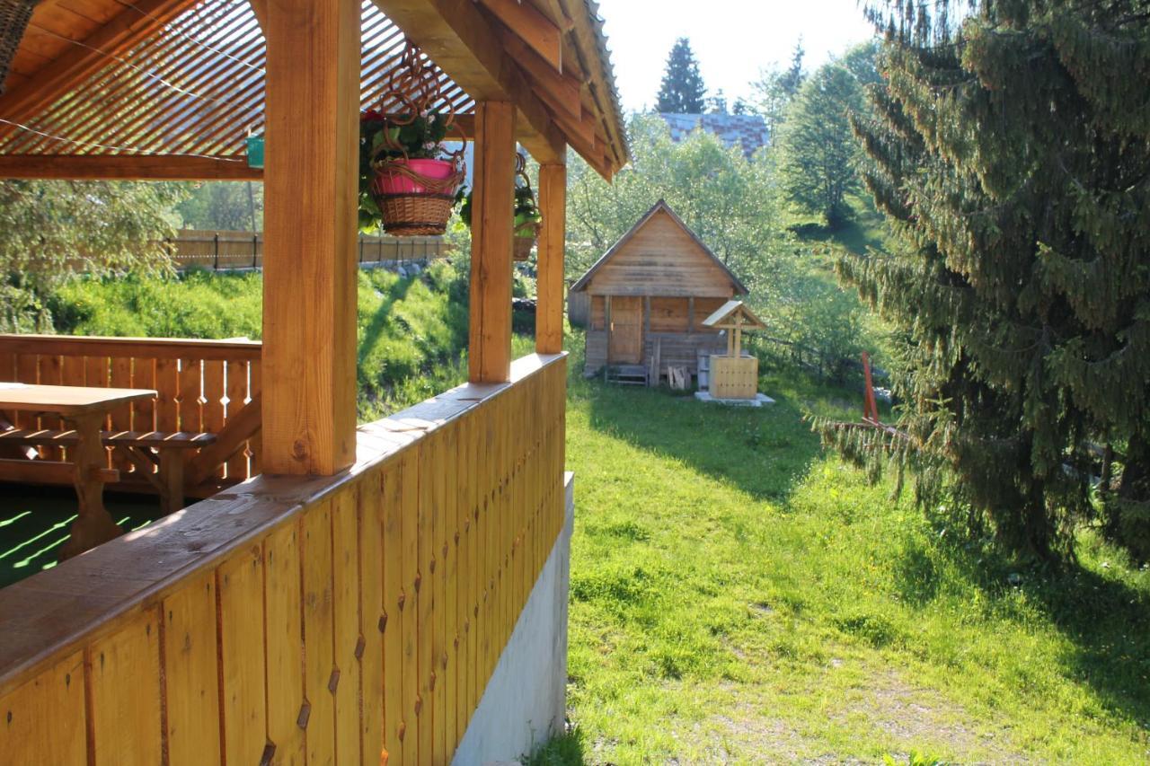 Arnica Montana Hotel Arieseni Bagian luar foto
